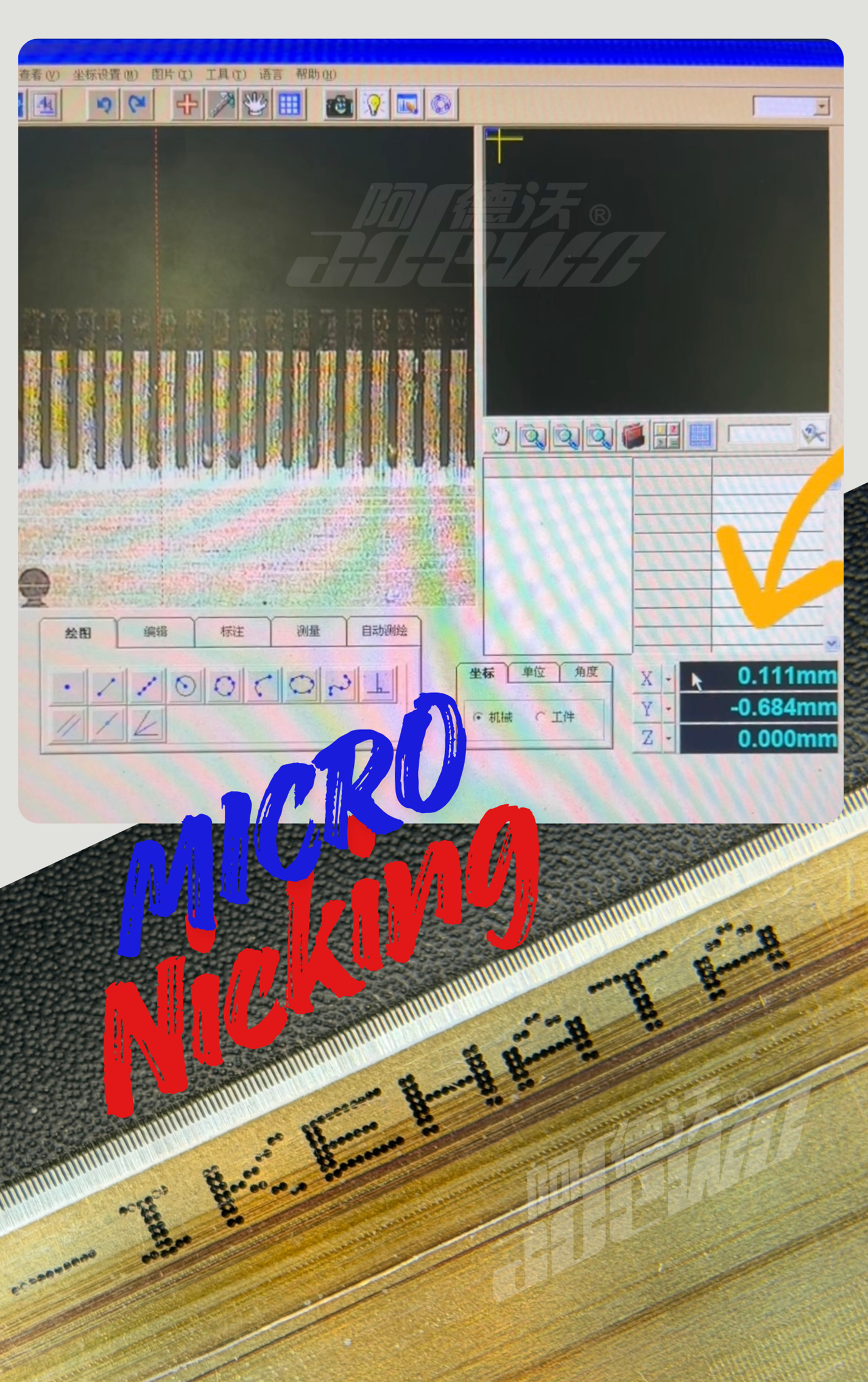 مائیکرو نکنگ